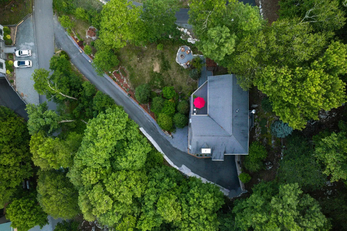 The home’s exterior with a prominent red umbrella on the roof deck, winding driveway, and lush green surroundings. The visual emphasizes outdoor spaces where pets and owners can enjoy sunshine, relaxation, and gentle walks in a peaceful environment.